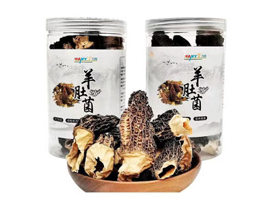 羊肚菌