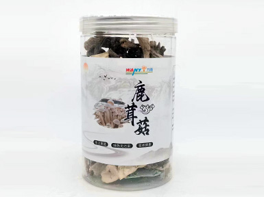 鹿茸菇