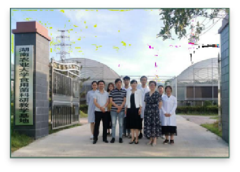 科技支持