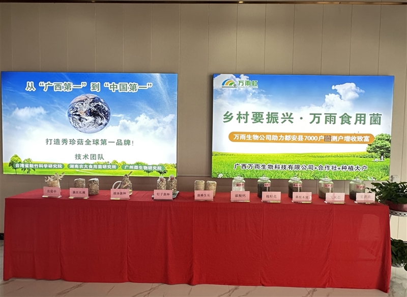 Product display area