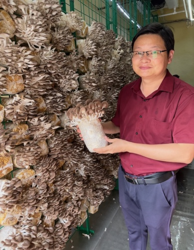 Group President - Yang Qixiu